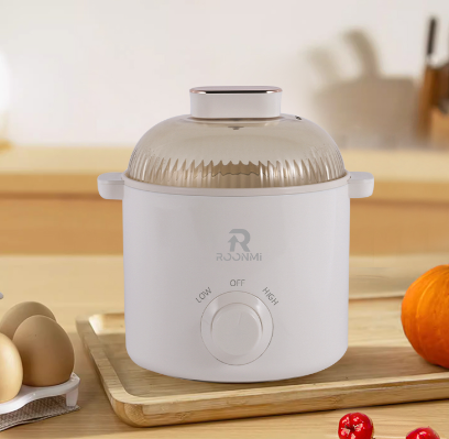 Multifunctional Electric Cooker RC1720