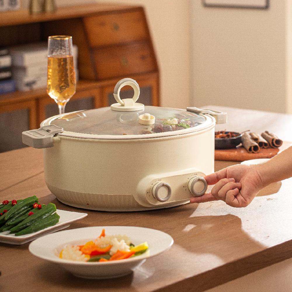 Electric Micro Pressure Cooker E2